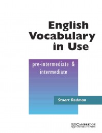 English Vocabulary in Use: Pre-Intermediate & Intermediate